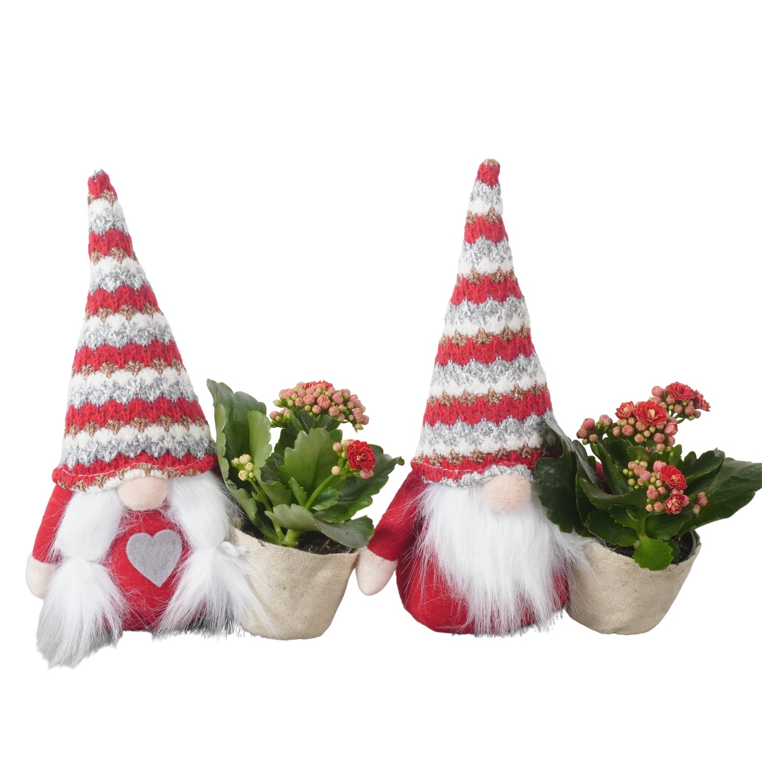 Picture of PTKB9395 Arrangement X-Mas in cloth gnoom P15 24CM