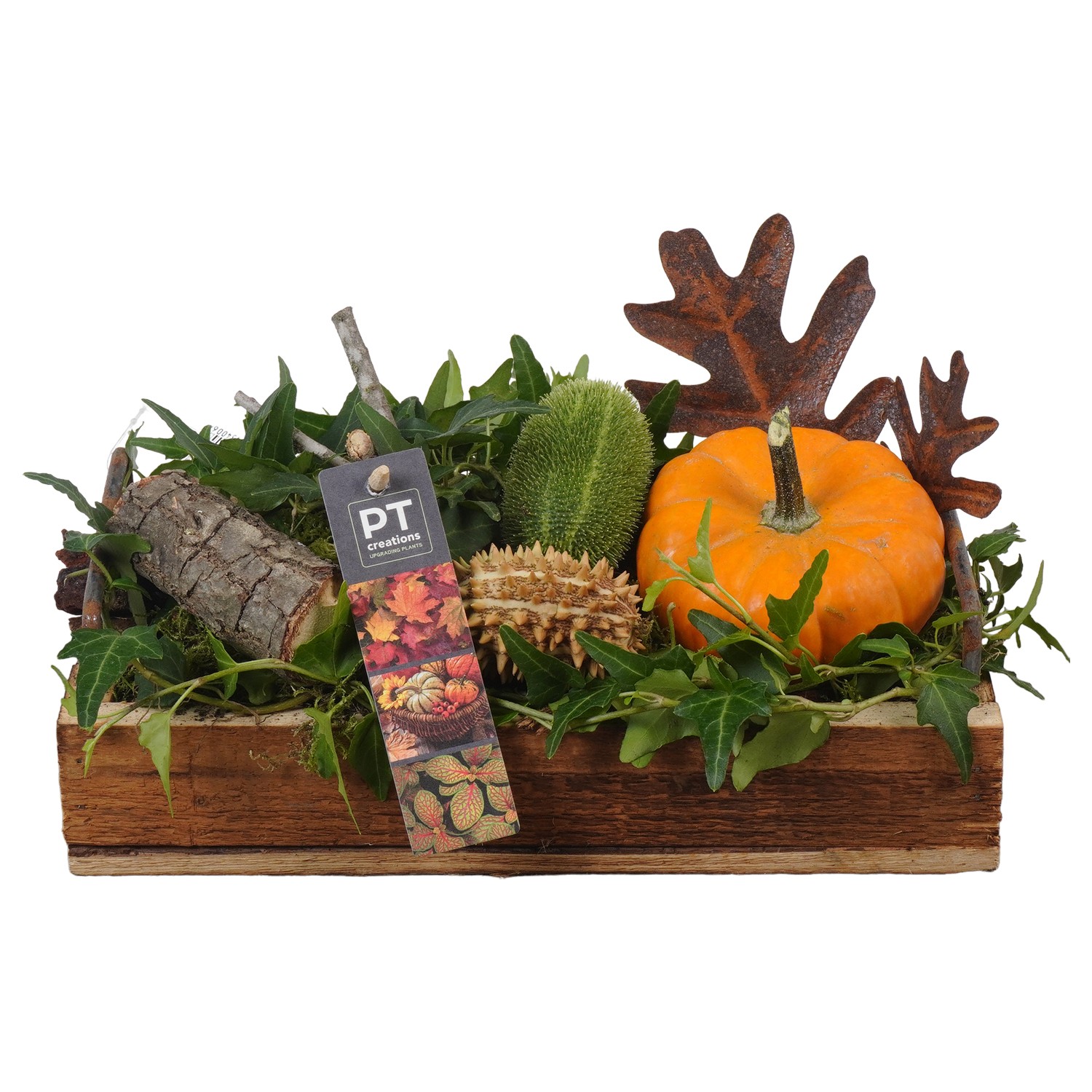 Picture of PTKBH5313 Arrangement Autumn Fruits on wooden plate P26 16CM