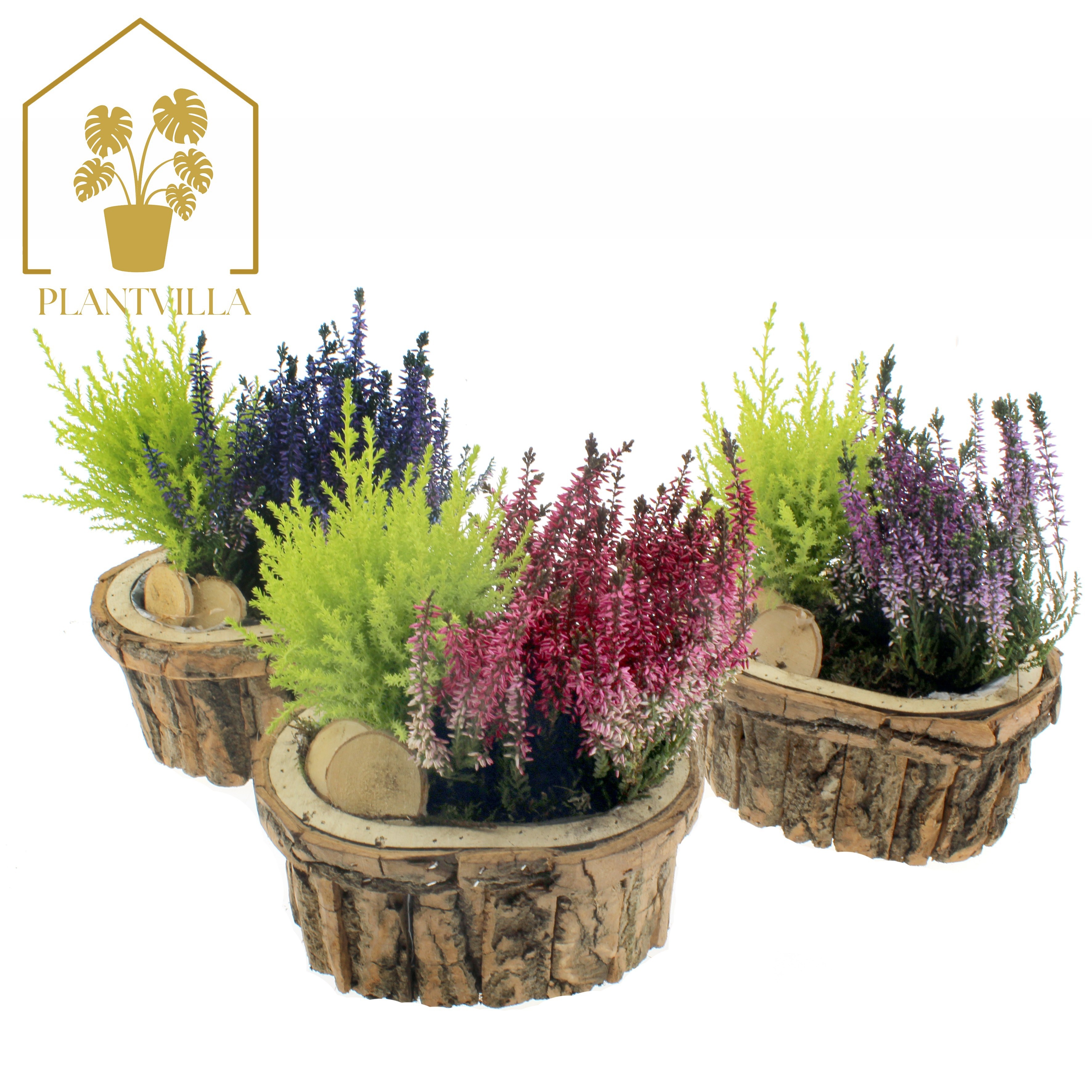Arr Tuinplanten 22P 35cm 23bloei