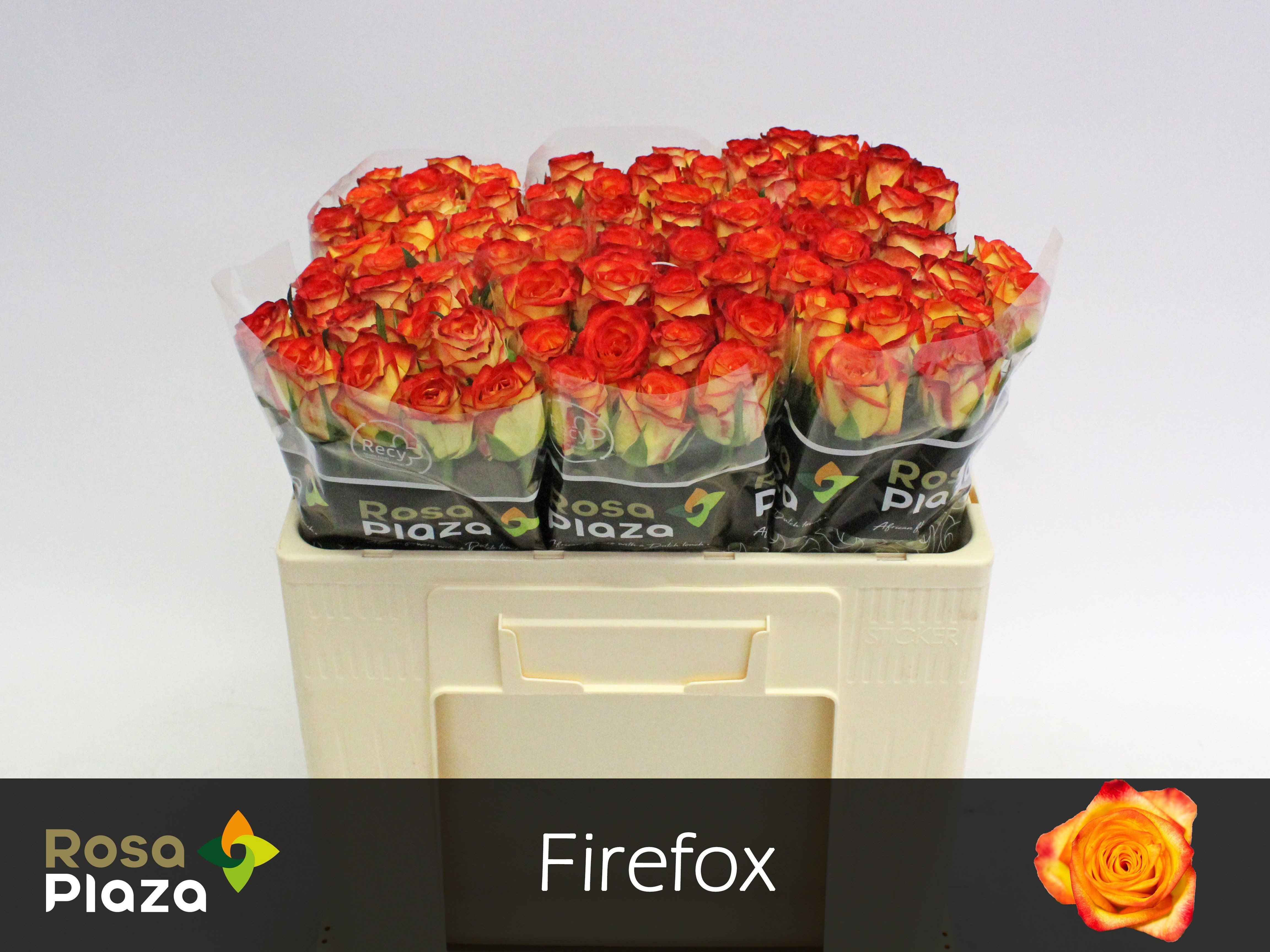 R Gr Firefox