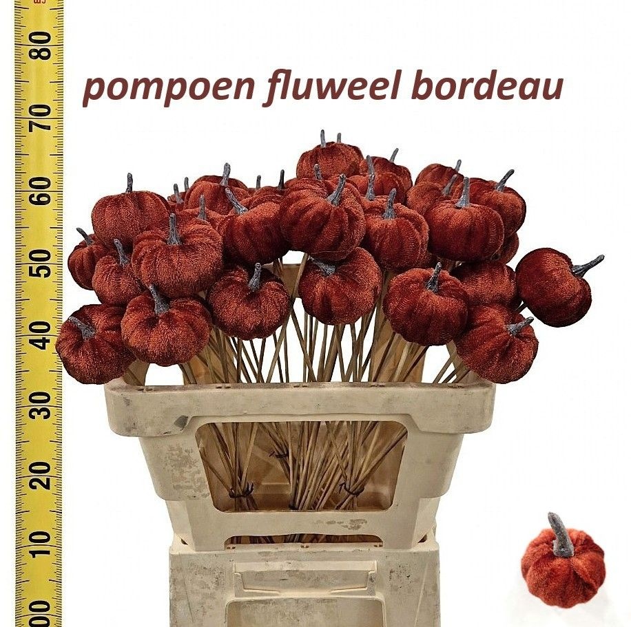 Huis En Tuindeco H%