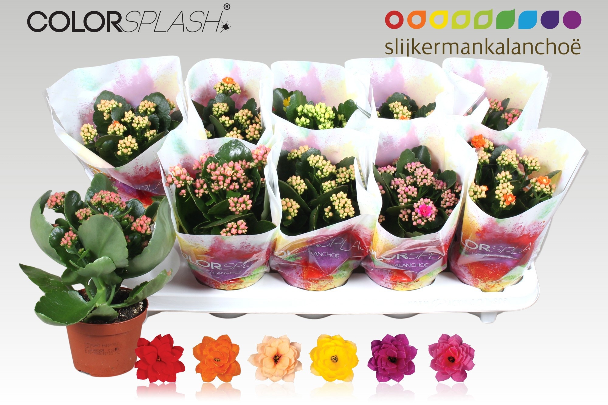 Kalan B Ge Gem 6 Kl 510Ø 20cm
