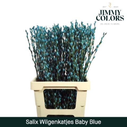 Salix Katjes L70 Baby Blauw