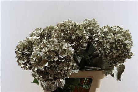 Hydrangea Painted 80cm 22Ø