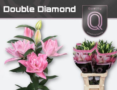 Li Or Du Dou Diamond