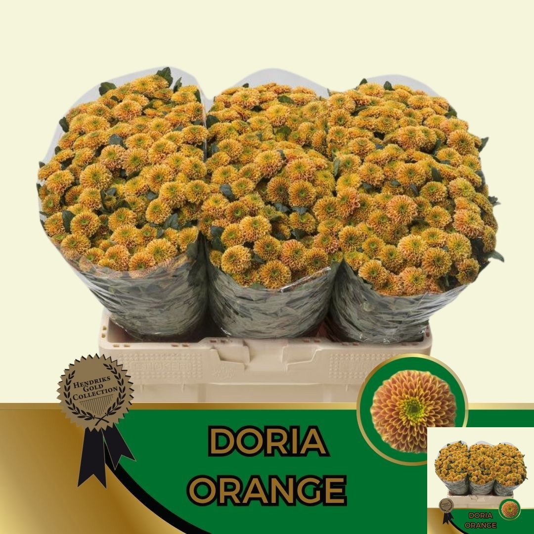 Chrys Santini Doria Orange 55cm 120Ø