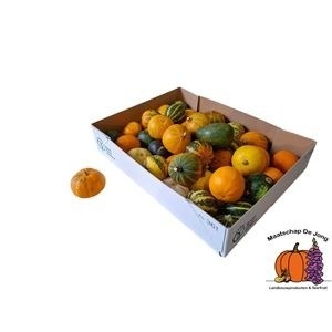 Cucurbita Pepo Mixed