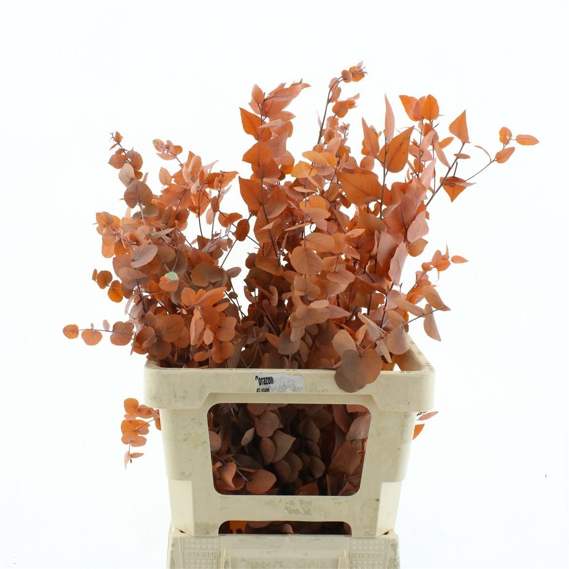 Decoration Greens Painted 70cm 200gram