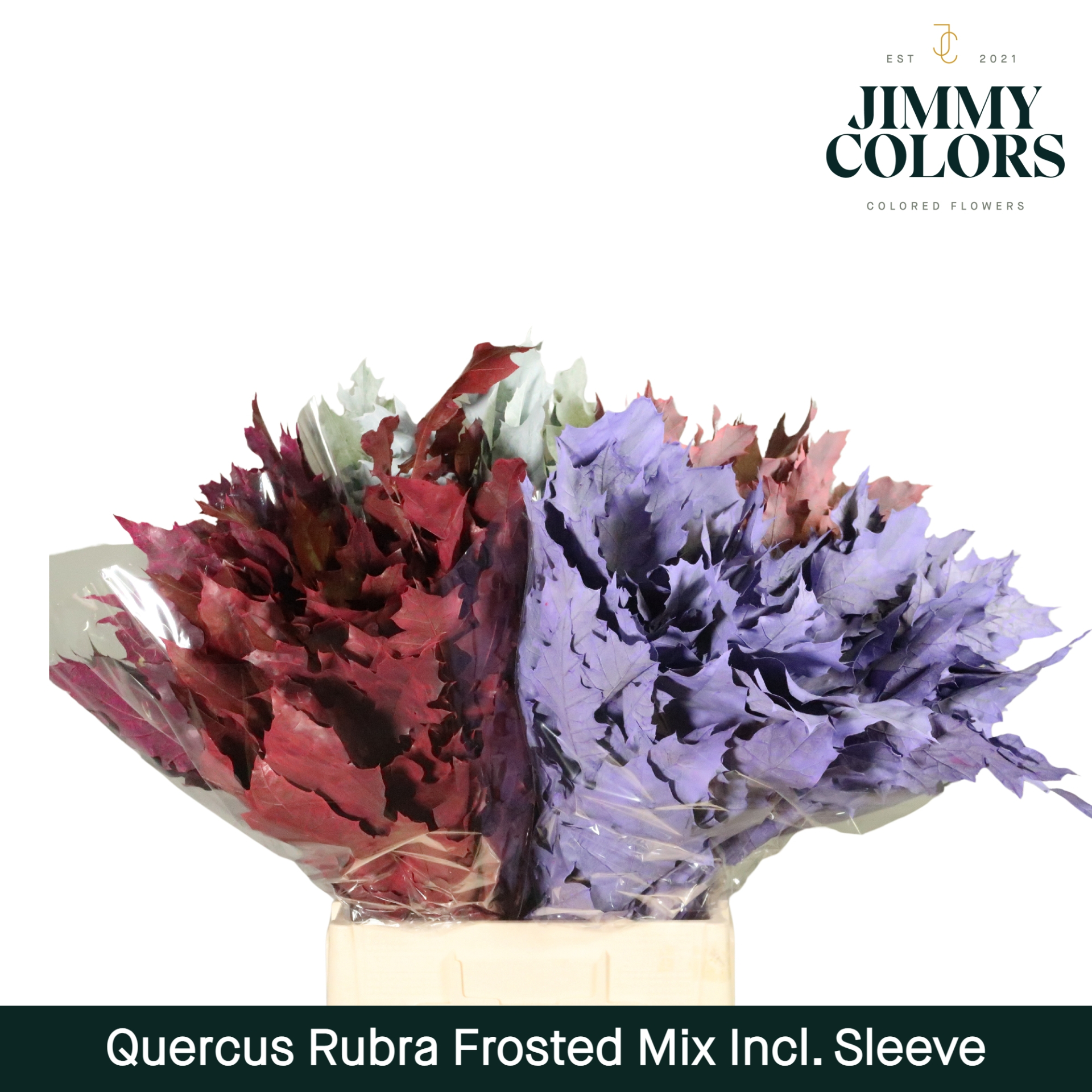 Quercus Rubra Sleeve L60 Frosted Mix