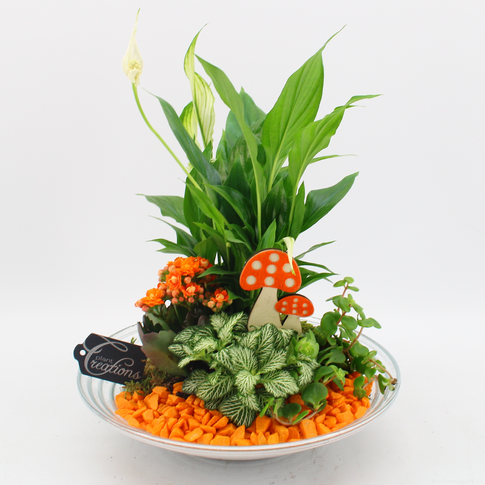 Picture of Arrangement indoor Autumn Fundamentals BHCR-2403 P30 35CM