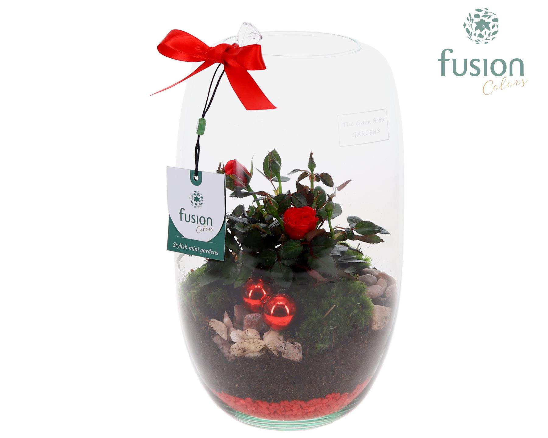 Picture of X-Mas arrangement Green Bottle Isabella Medium FC-24.0056FDH P15 25CM