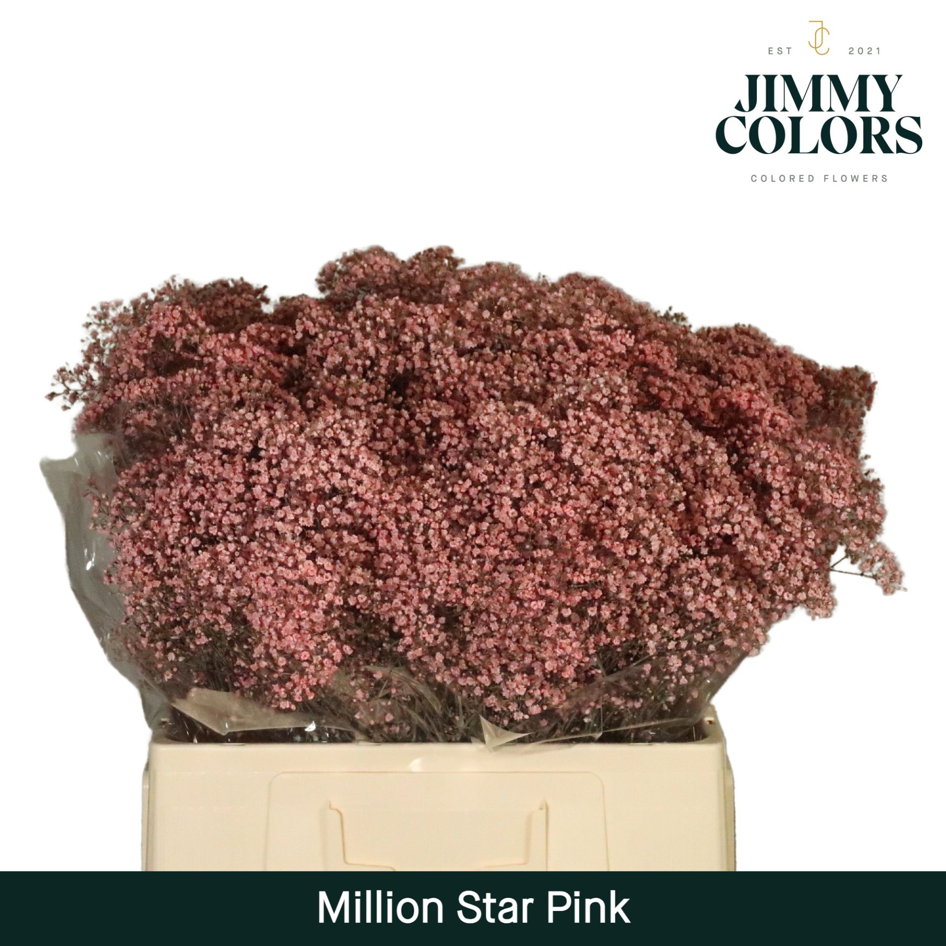 Gyps Million Star L60 Pink