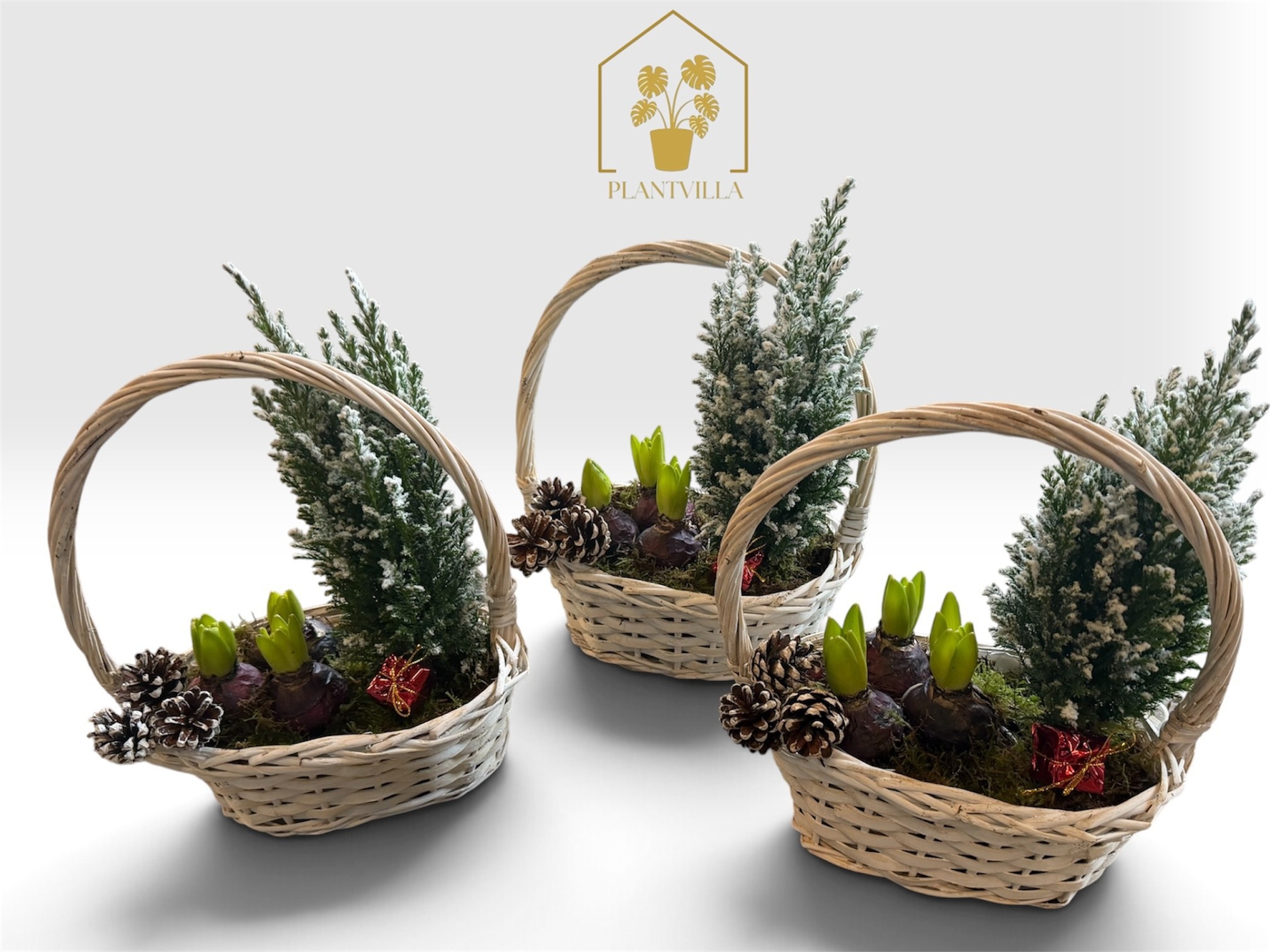 Arrangement Garden Plants 23Ø