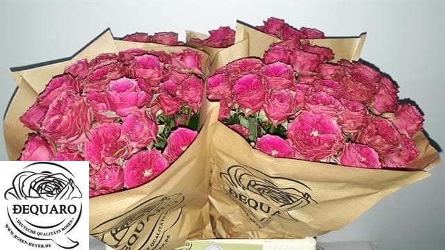 R Tr Grandmas Josy 40cm