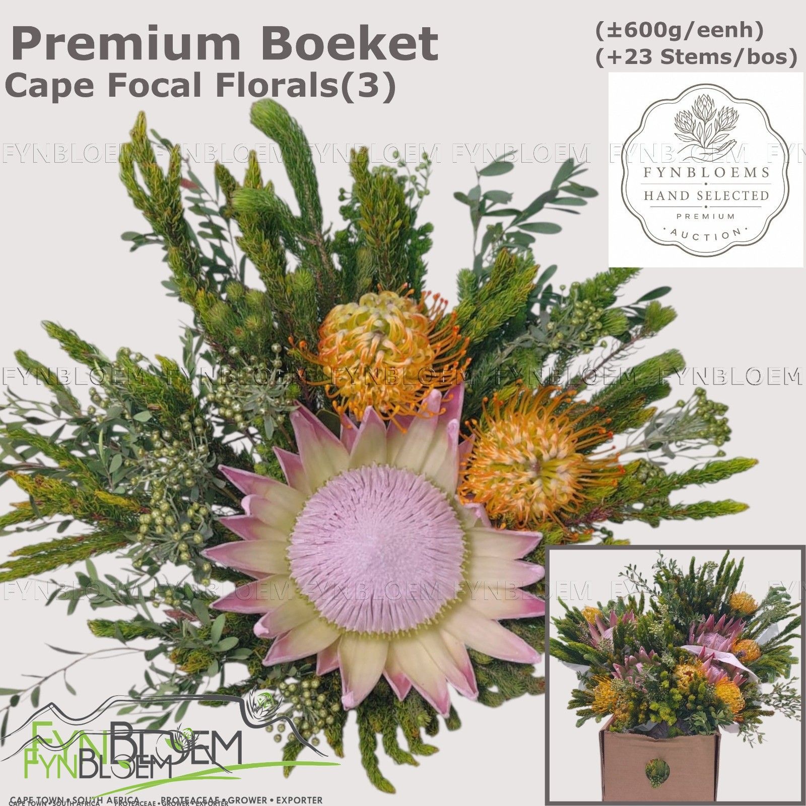 Protea Bouquet Per Bunch 40cm