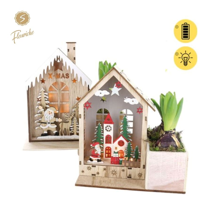 Picture of (2907) Hyacint Cozy Christmas House 2PP Moss P21 22CM