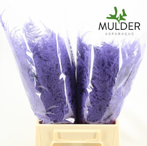 Asp S Klb H% 1e Veren Milka