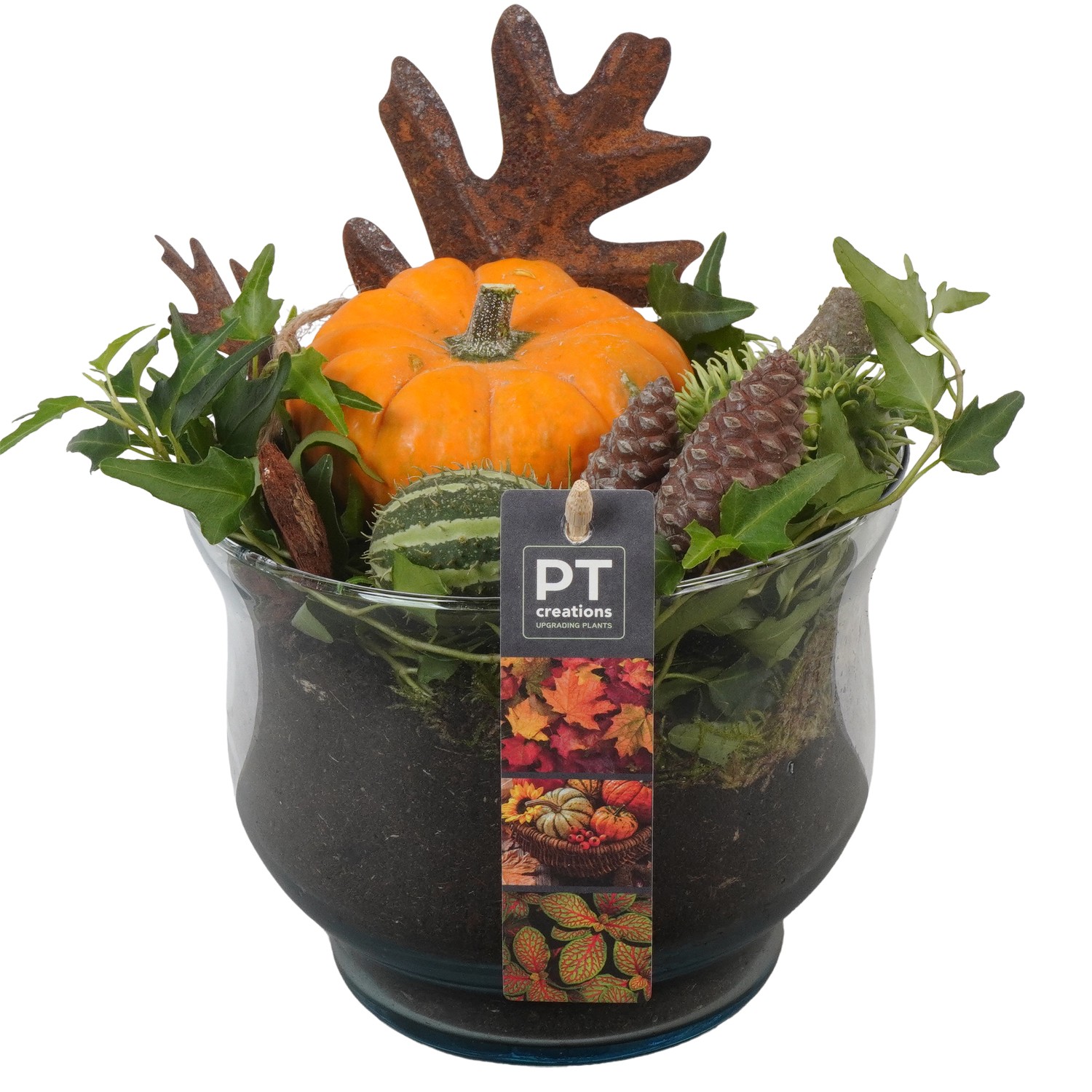 Picture of PTKBH5329 Arrangement Autumn Fruits in glass bowl P17 22CM