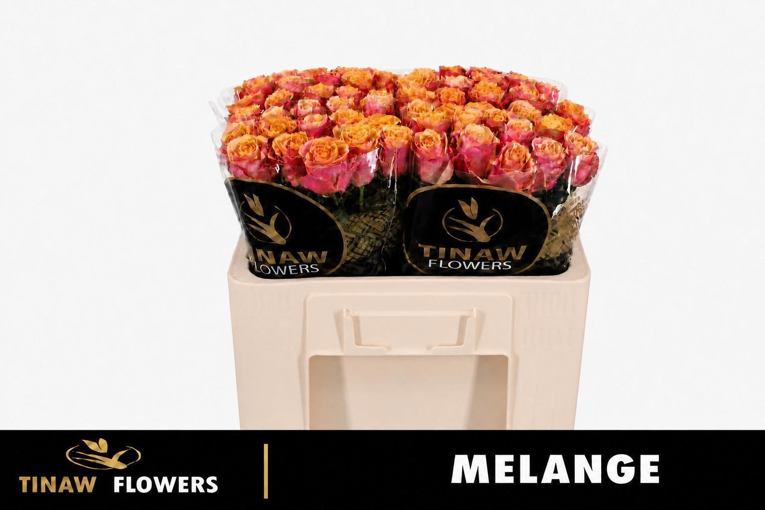 R Gr Melange