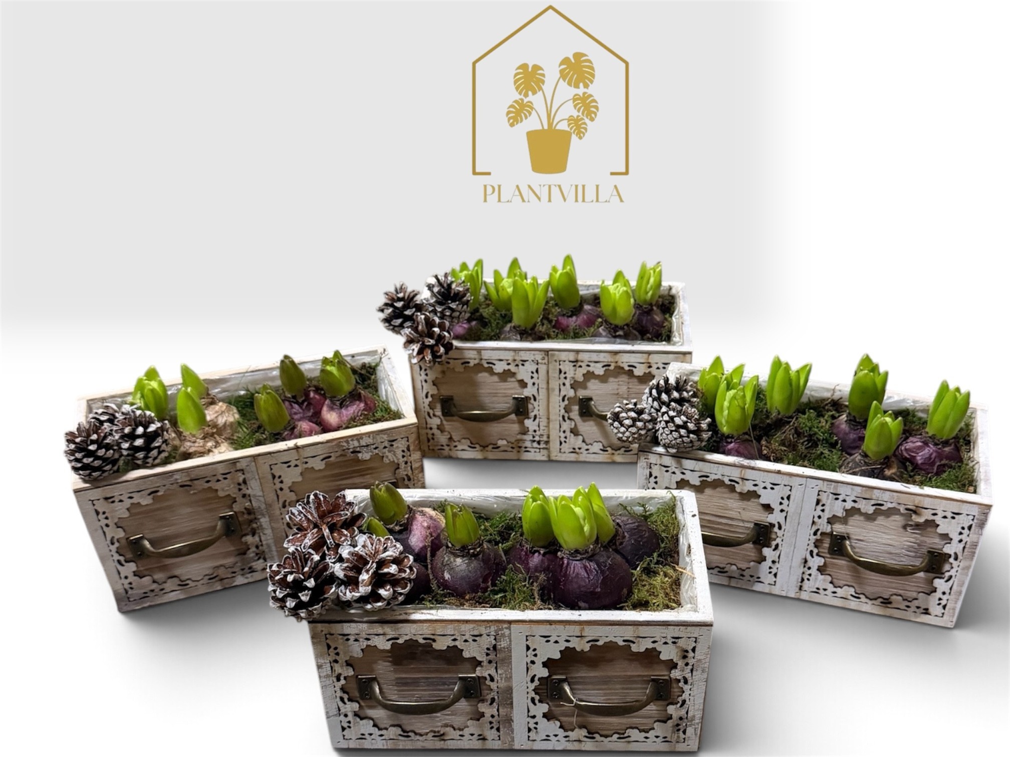 Arrangement Garden Plants 23Ø
