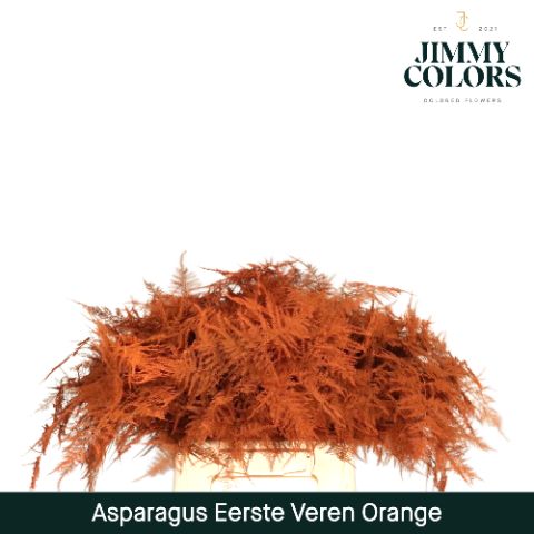 Aspa 1ste Veren Orange