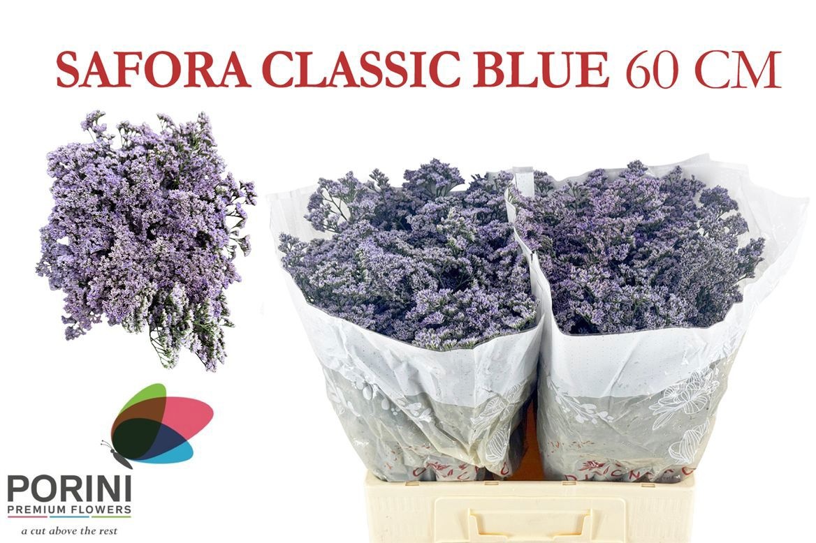 Limonium Saf Classic Blue 60cm 50gram