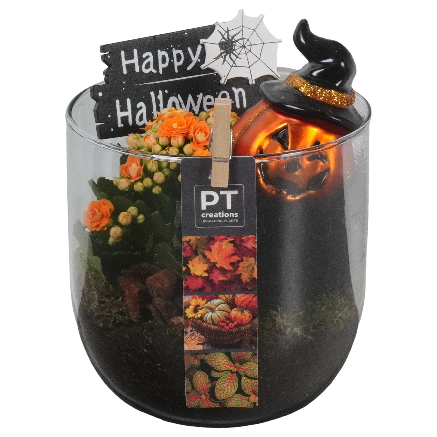 Picture of PTHL1906 Arrangement Halloween in glass vase P13 16CM