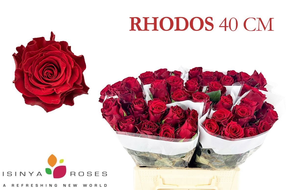 R Gr Rhodos
