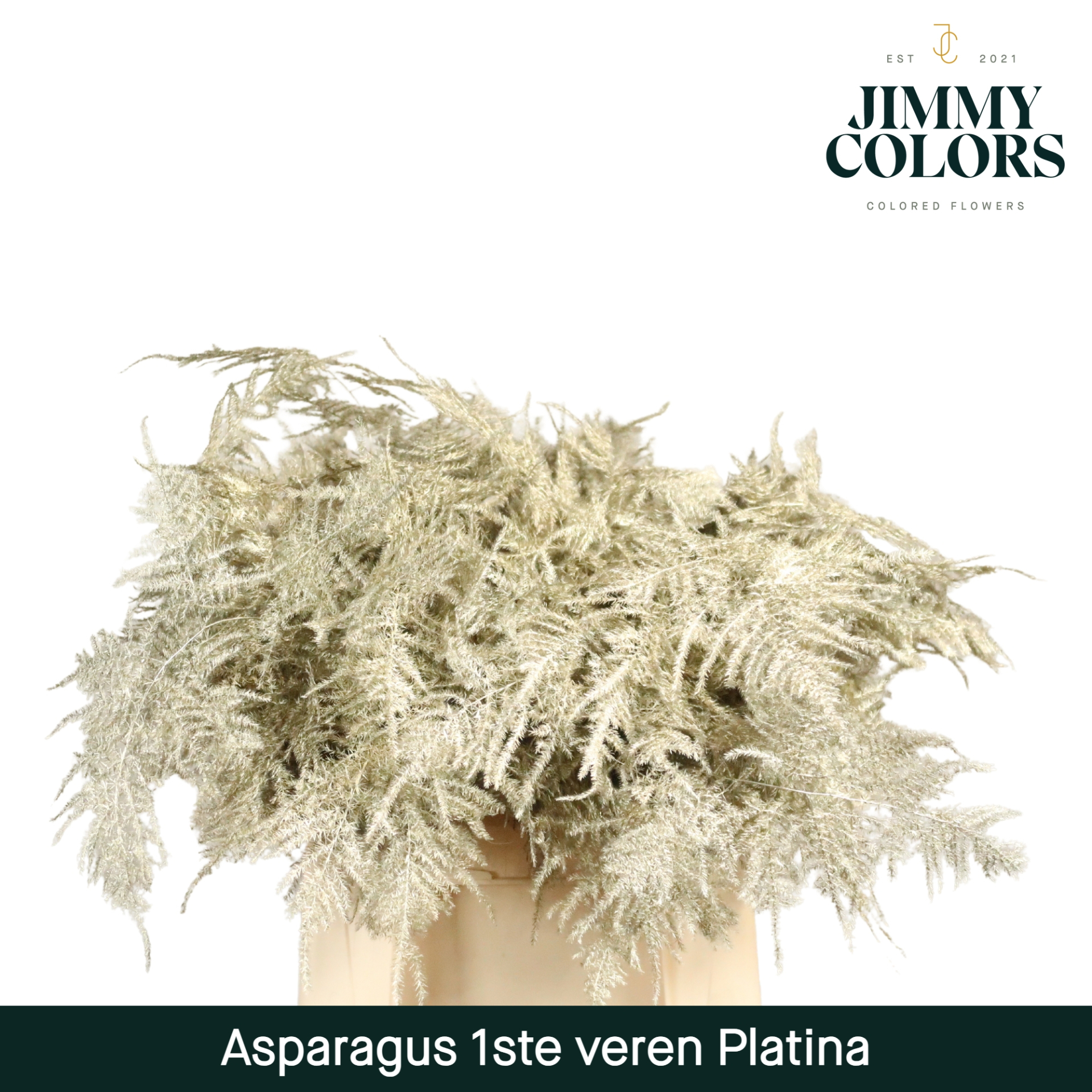 Aspa 1ste Veren + Glitter Platina + Glitter