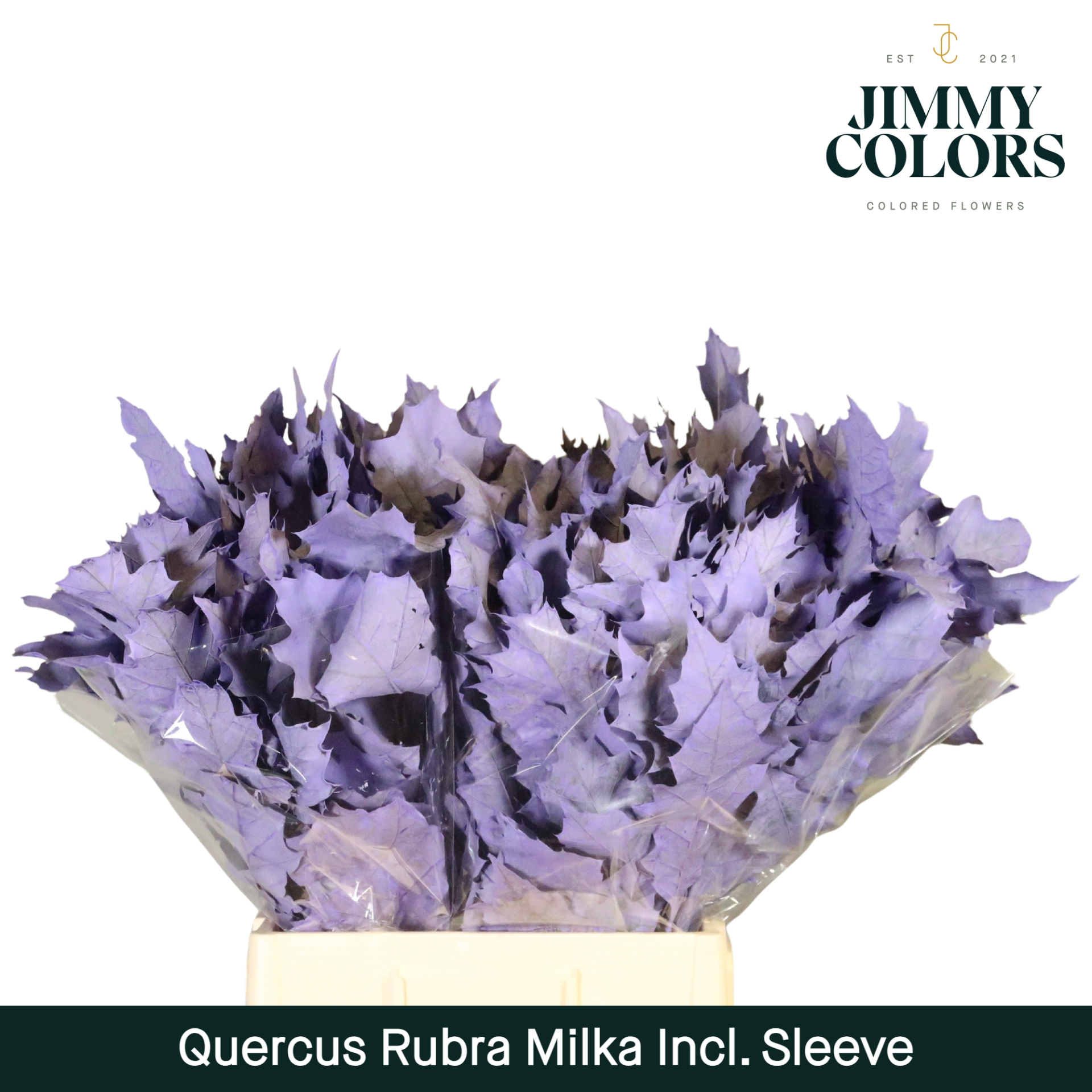 Quercus Rubra Sleeve L60 Milka
