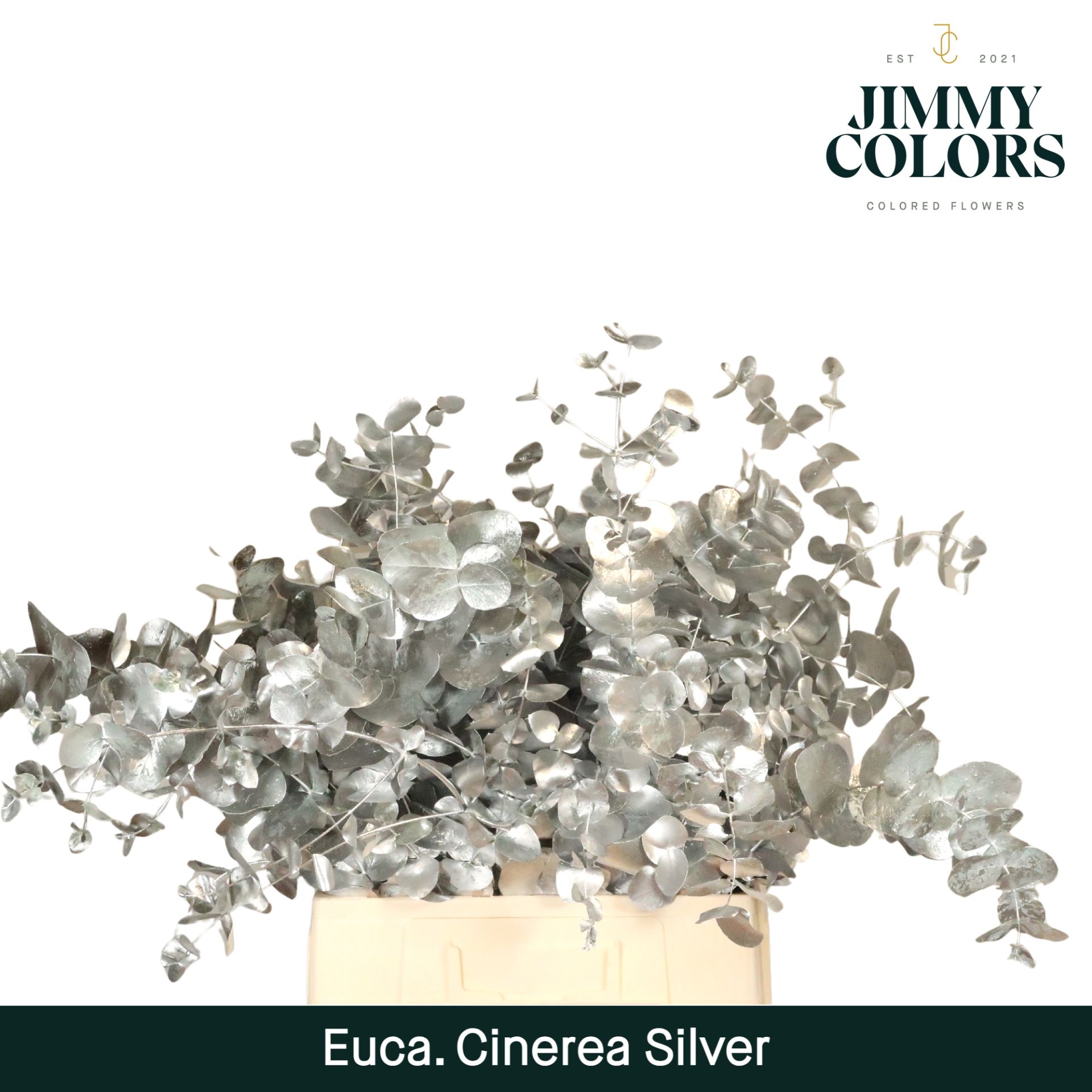 Cinerea Per Bos 200g Silver
