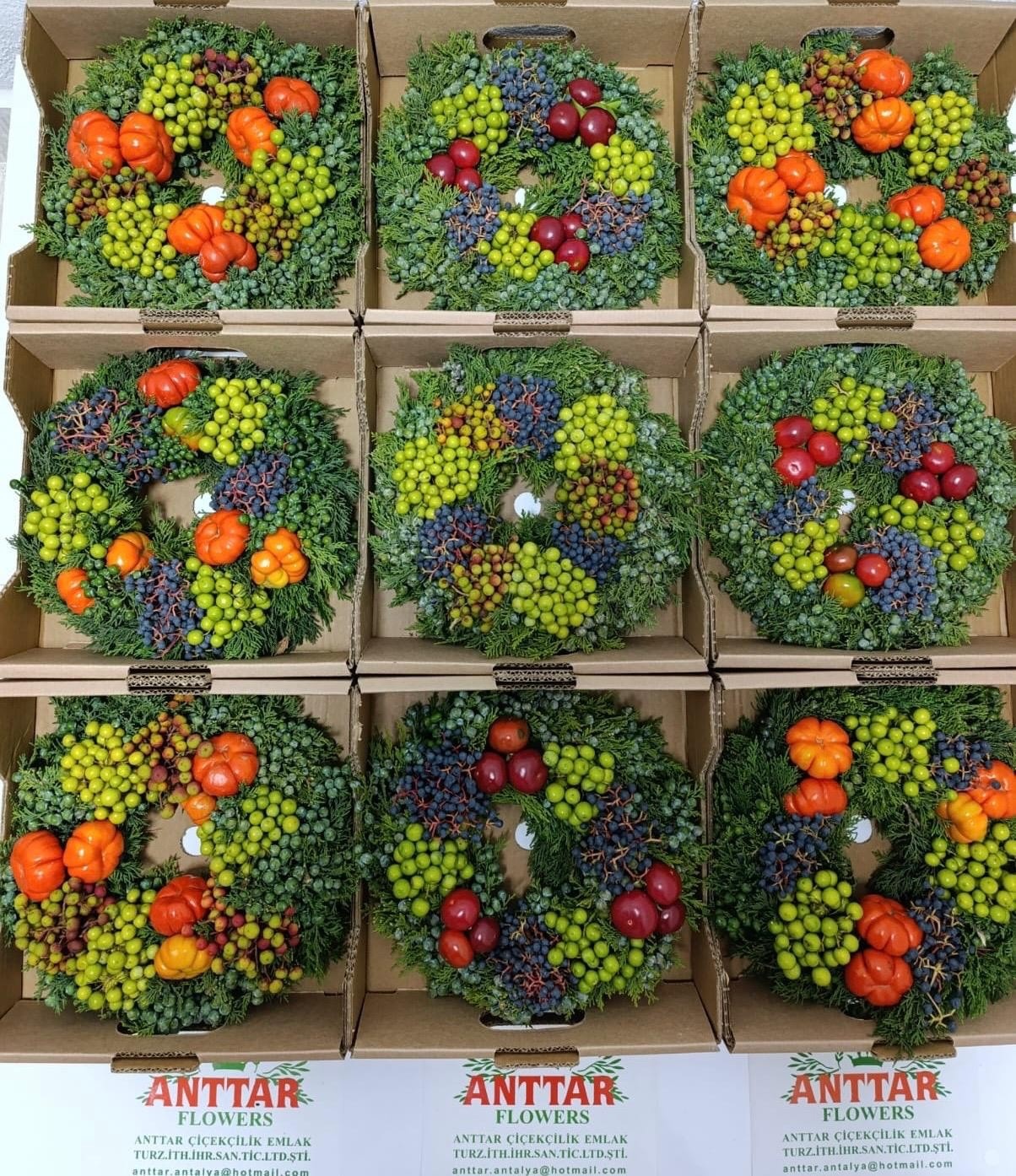 Fruits Malus Per Piece