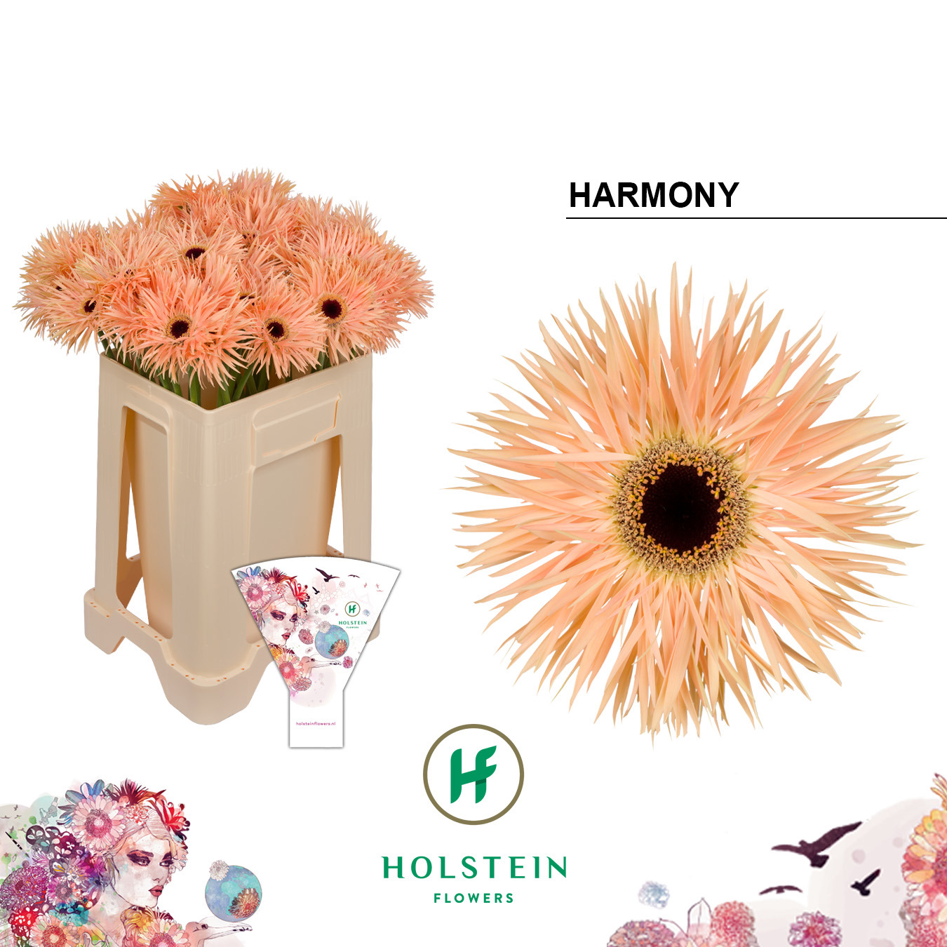 Ge Gs Gersp Harmony