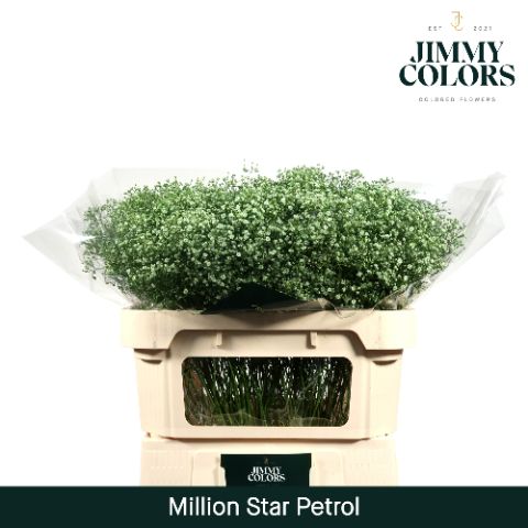 Gyps Million Star L70 Petrol