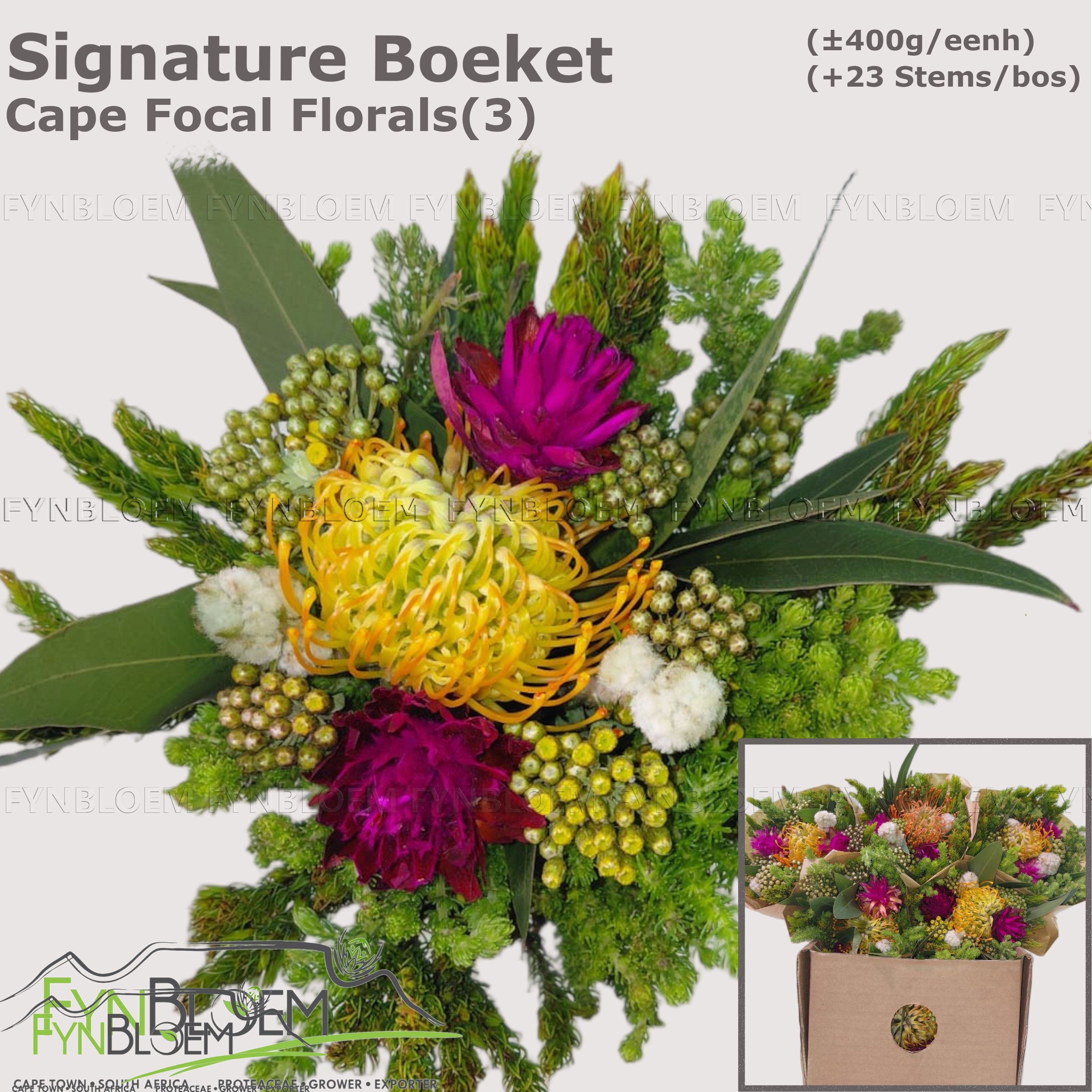 Protea Bouquet Per Bunch 40cm