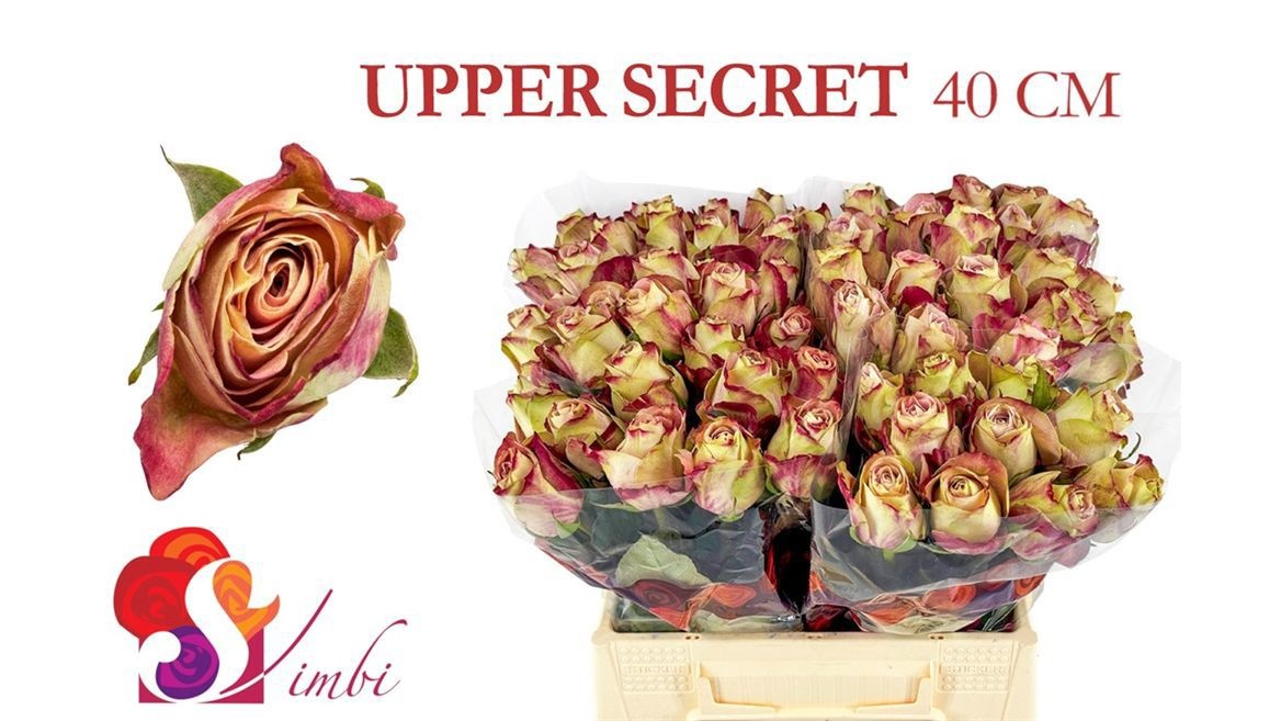 R Gr Upper Secret