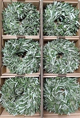 Fruits Malus Per Piece