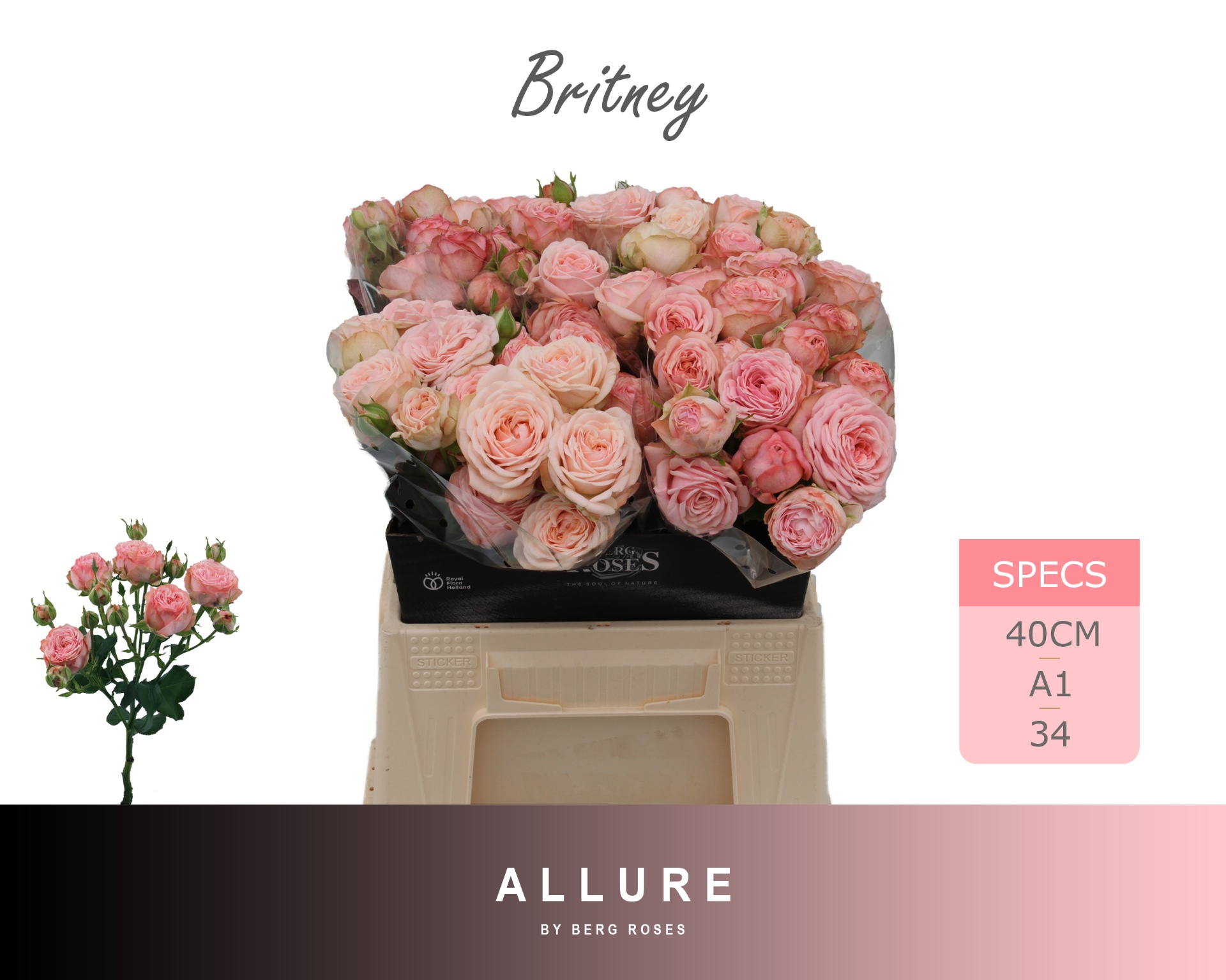 R Tr Britney 40cm