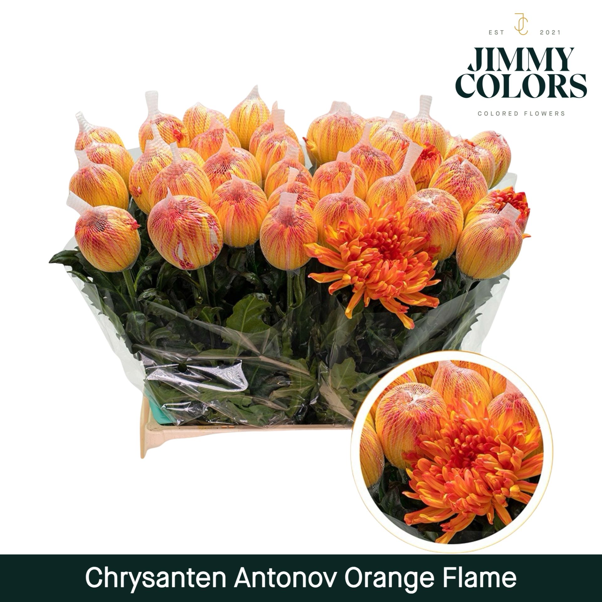 Chr G Antonov Orange Flame