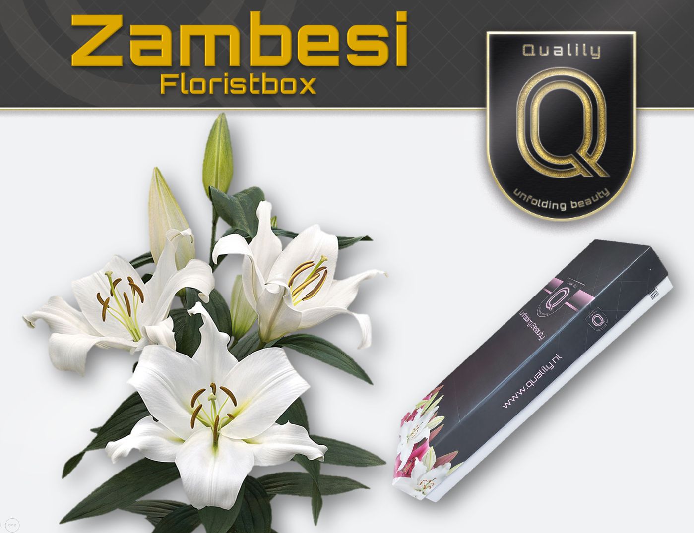 Li Ot Zambesi