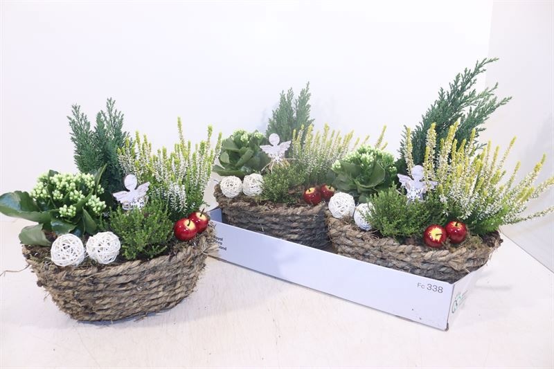 Arr Tuinplanten 32P 34cm