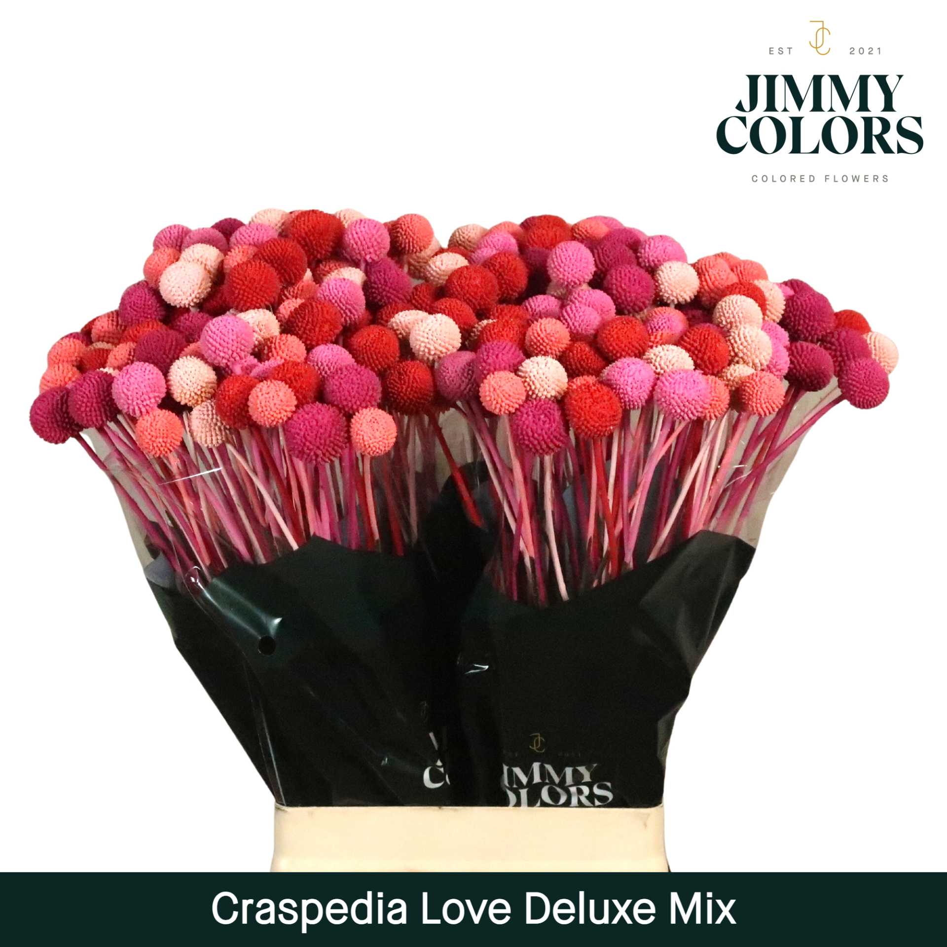Craspedia L70 Love Deluxe Mix