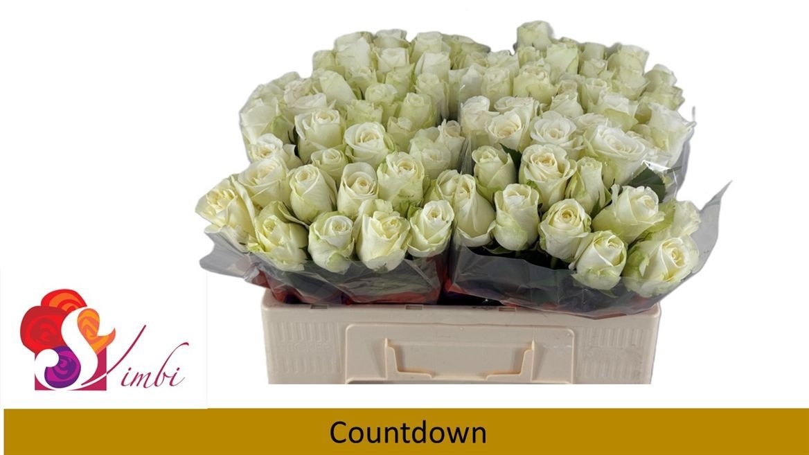 R Gr Countdown!