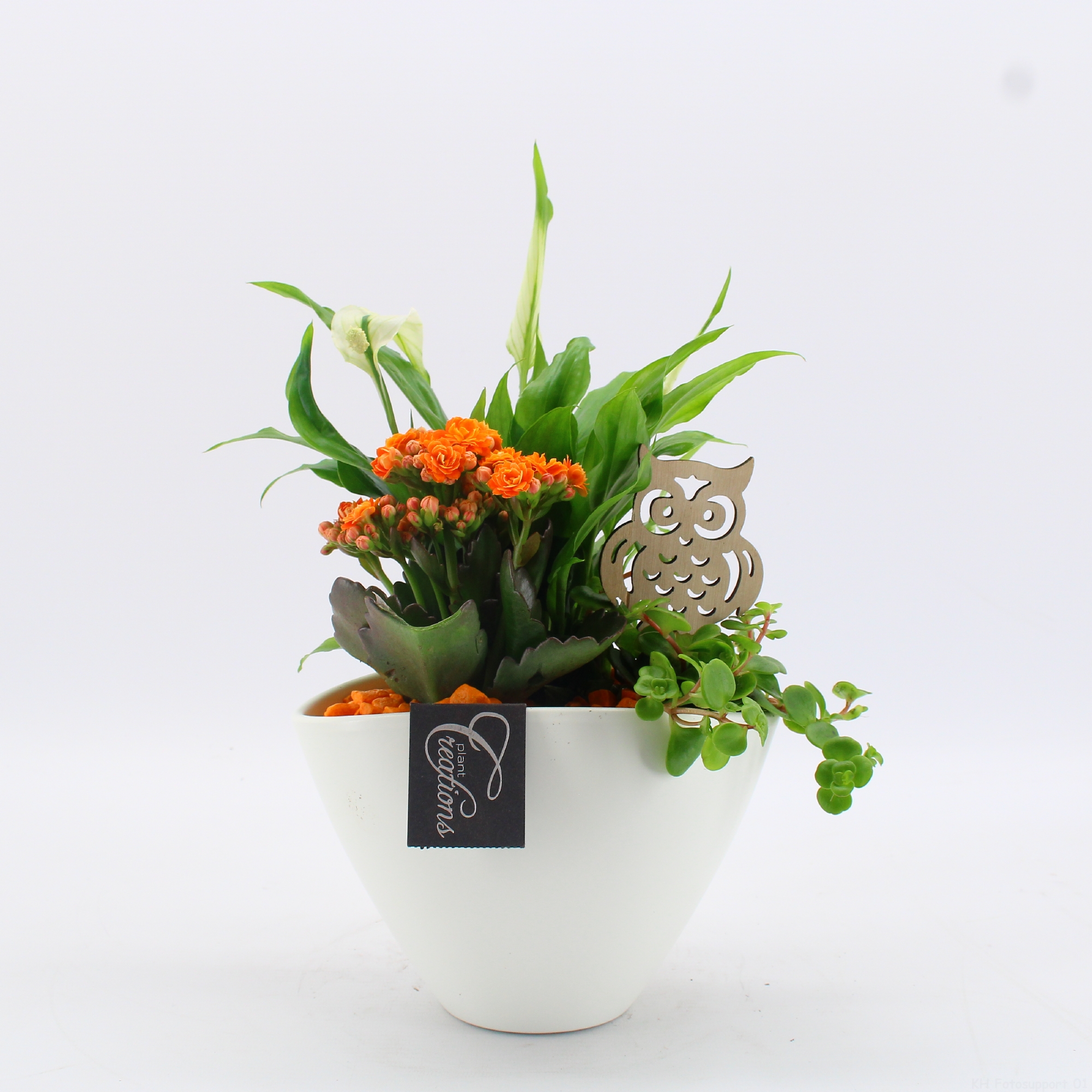 Picture of Arrangement indoor Autumn Fundamentals BHCR-2411 P18 35CM