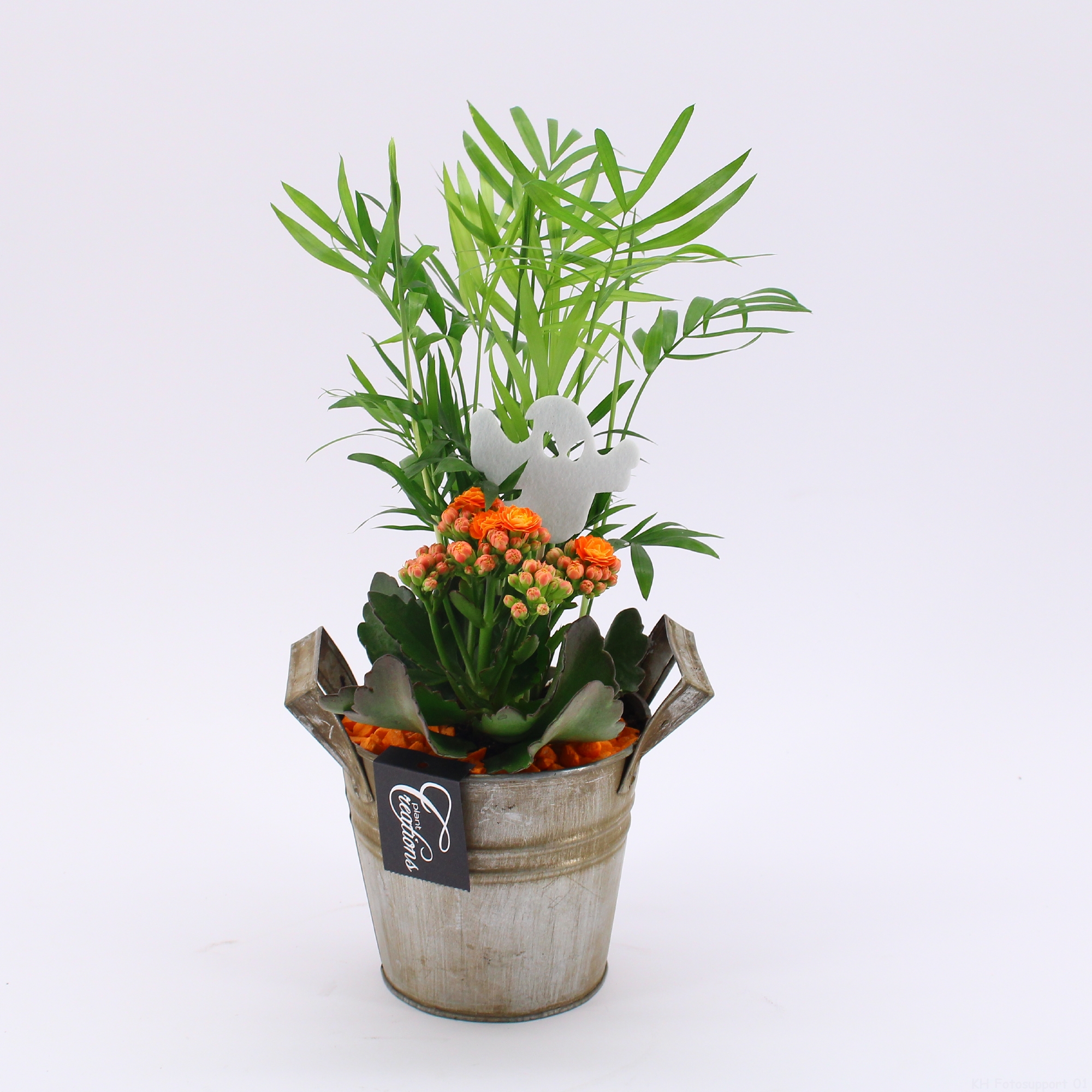 Picture of HWCR-2409 Halloween arrangement P13 35CM