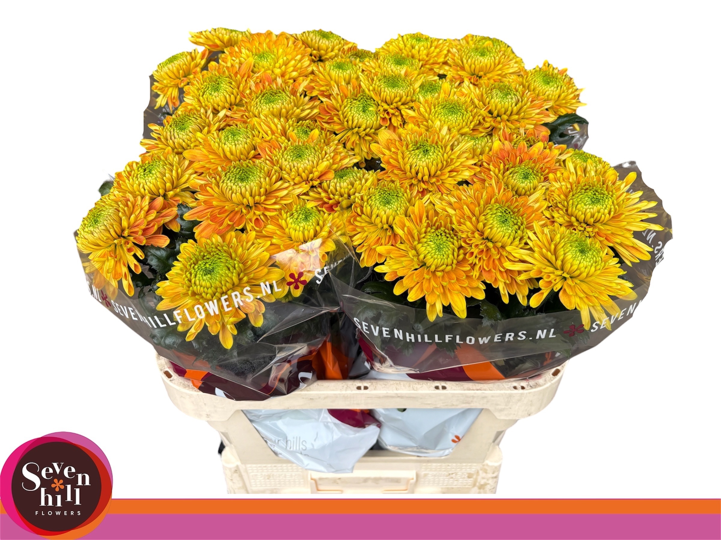 Chr G Prist Orange 80cm 95gram