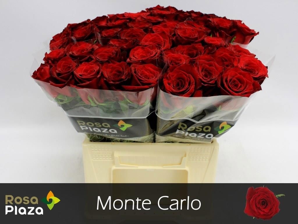 R Gr Monte Carlo