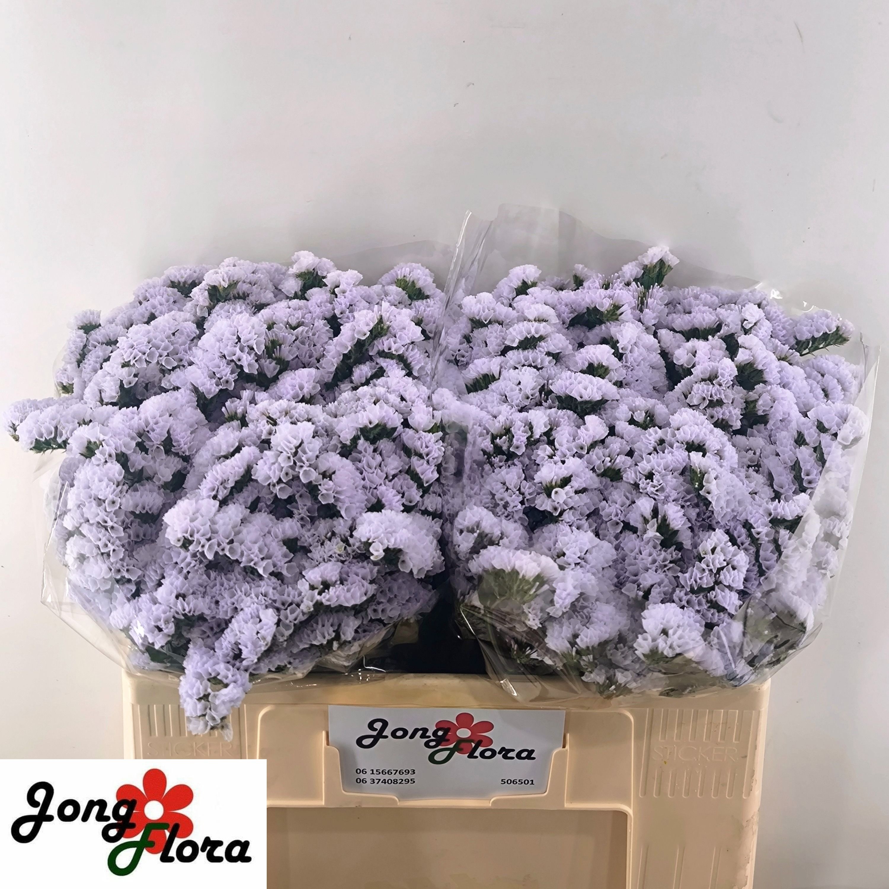 Lim S Silky Wings 50cm 20gram