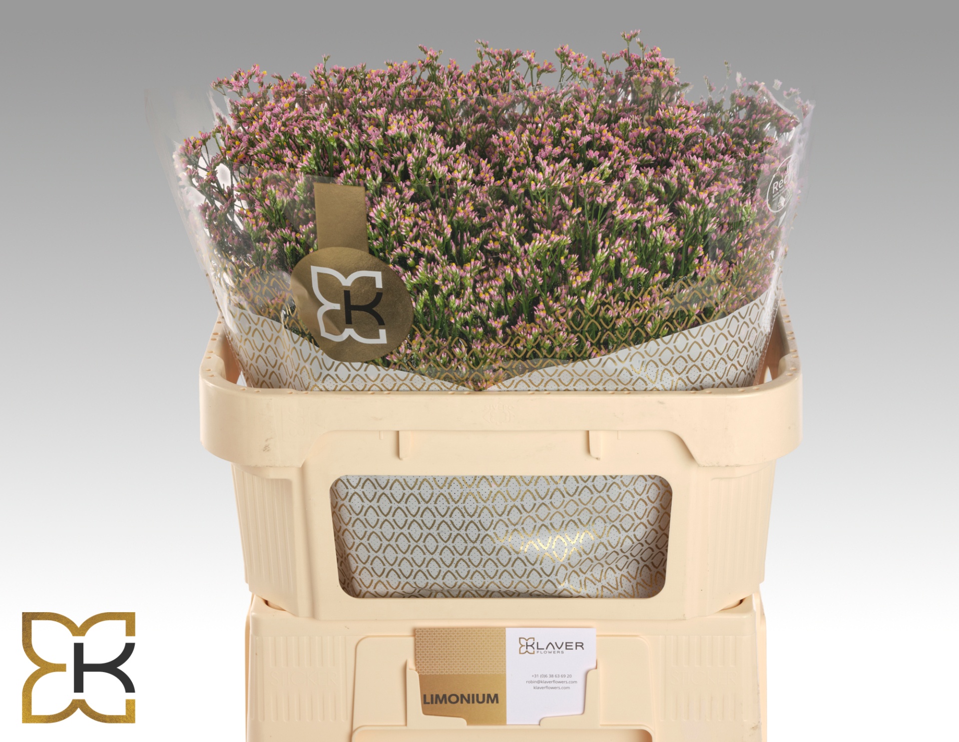 Limonium Sin Blush Diamond 70cm 30gram