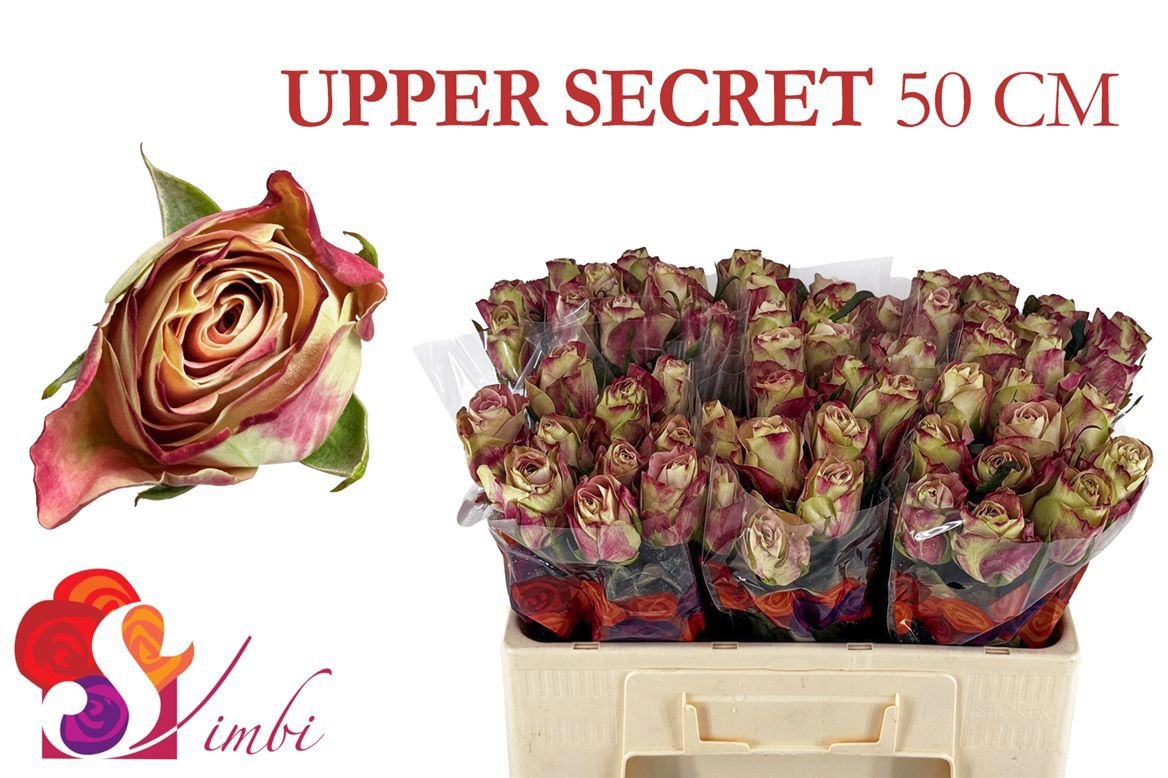 R Gr Upper Secret